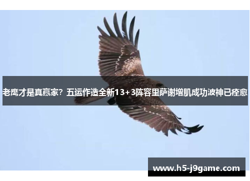 老鹰才是真赢家？五运作造全新13+3阵容里萨谢增肌成功波神已痊愈